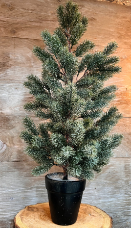 Large Frosted Spruce Tree 20in