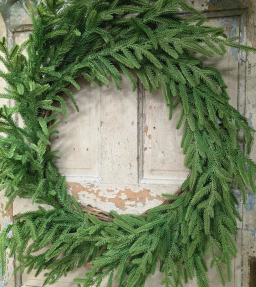 North Folks Pine 20in Wreath