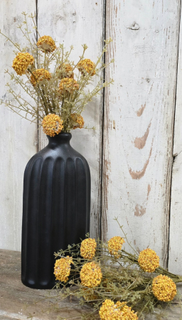 Yellow Yarrow Pick