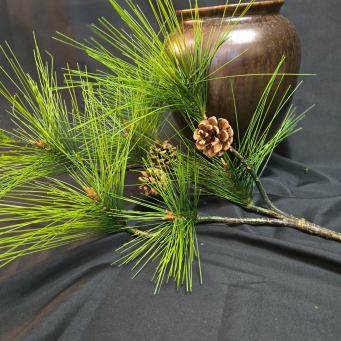 Holiday Pine Stem