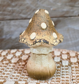 Elf's Umbrella Mushroom 2.5x2.5x4in