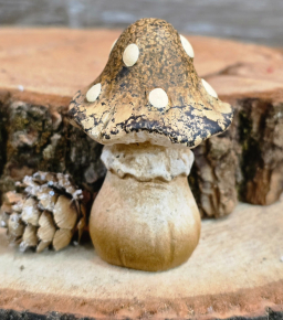 Pixie Puff Mushroom 2x2x3in