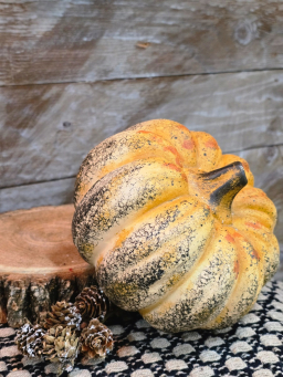 Autumn Cider Pumpkin 7x7x5in