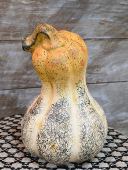 Autumn Cider Squash 6x6x9in