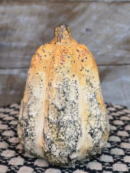 Autumn Cider Gourd 4x4x5.5in