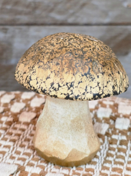 Munchkin Morel 3x2.75x3.25in