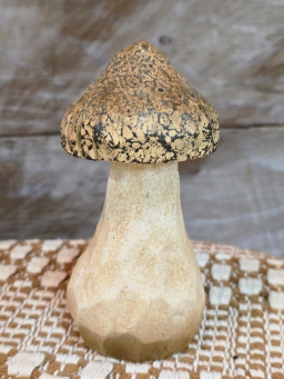 Toadstool 2.5x2.5x5in