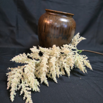 Cream Flocked Pampas Stem