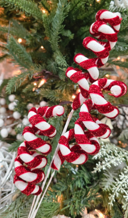 Smallall Peppermint Tree