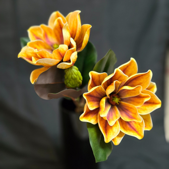 Yellow Butterfly Dahlia